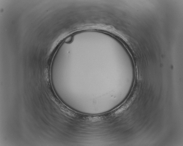 X0000071771501200607211519