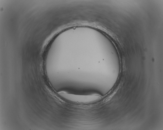 X0000071771502200607211519