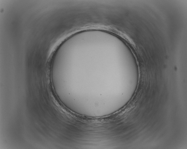 X0000071771504200607211519