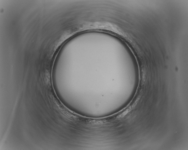 X0000071771505200607211519