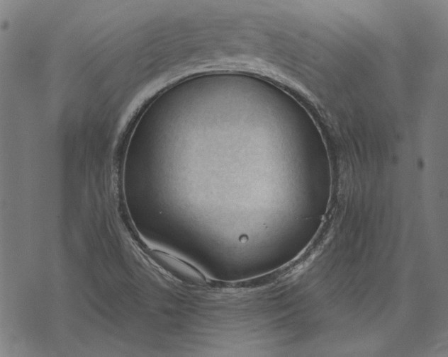 X0000071771506200607211519