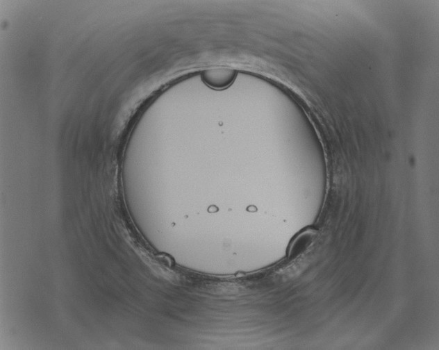 X0000071771507200607211519