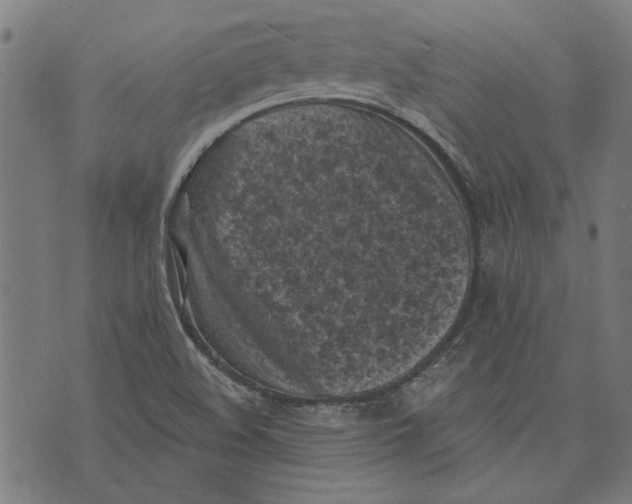 X0000071771508200607211519