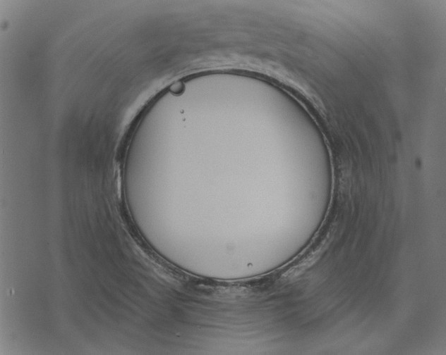 X0000071771509200607211519