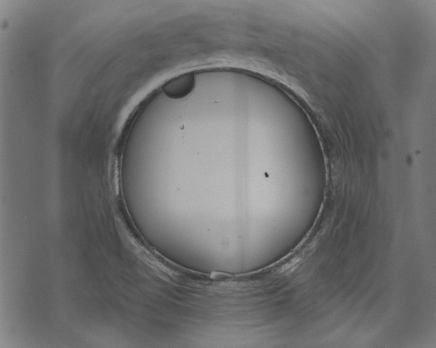 X0000071771510200607211519