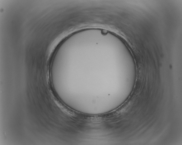 X0000071771511200607211519