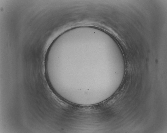 X0000071771512200607211519