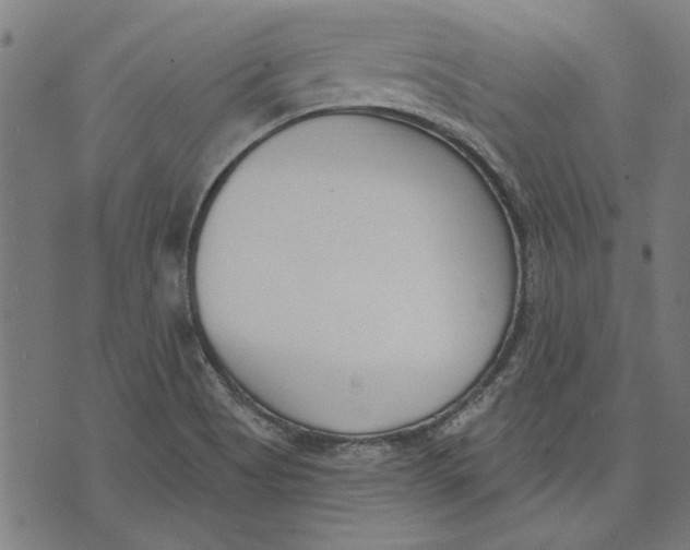 X0000071771513200607211519