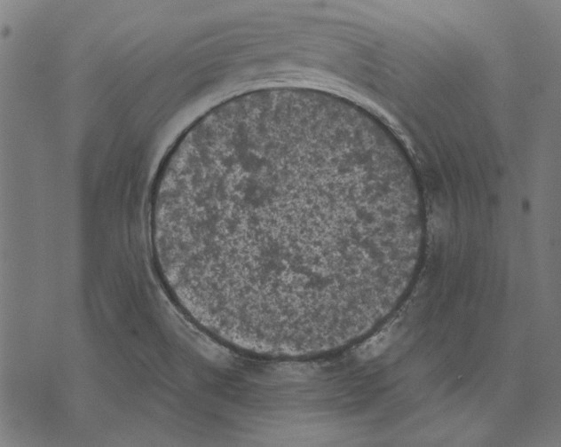 X0000071771514200607211519