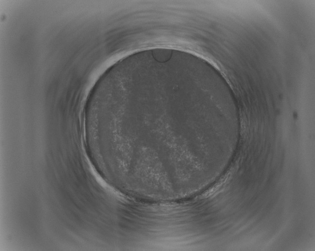 X0000071771515200607211519