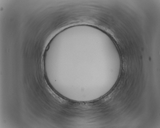 X0000071771516200607211519