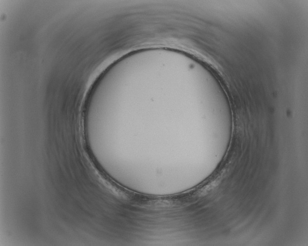 X0000071771517200607211519