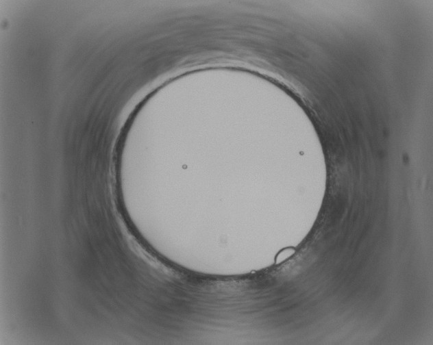 X0000071771518200607211519