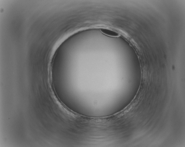 X0000071771520200607211519