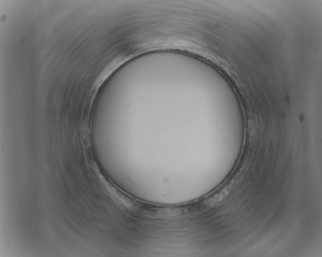 X0000071771521200607211519