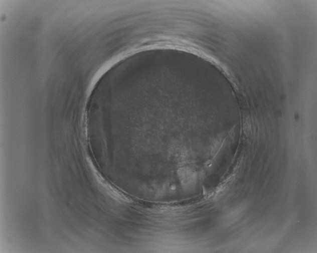 X0000071771522200607211519