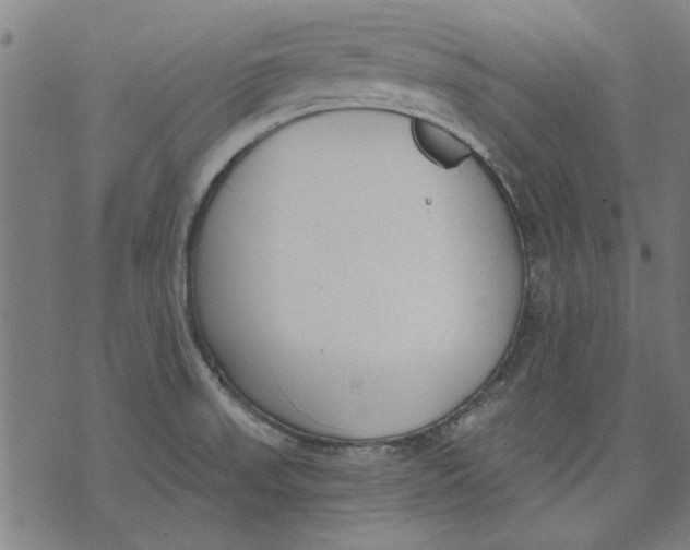 X0000071771523200607211519