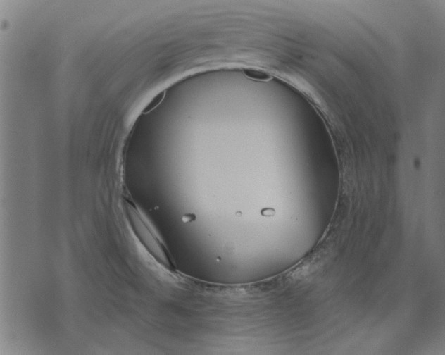 X0000071771524200607211519