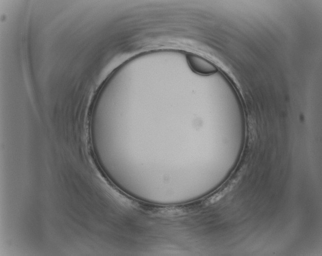 X0000071771525200607211519