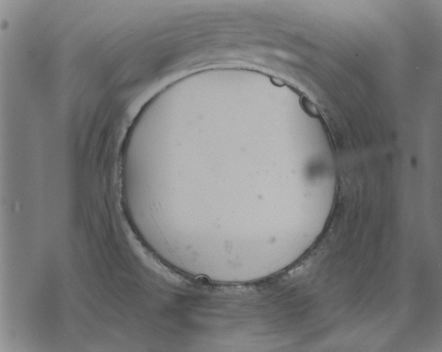 X0000071771526200607211519