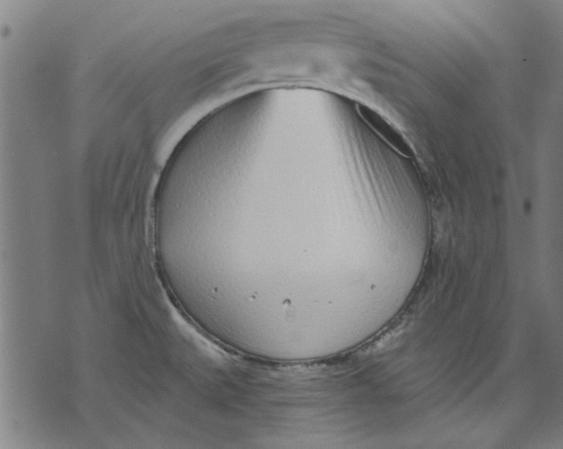 X0000071771527200607211519