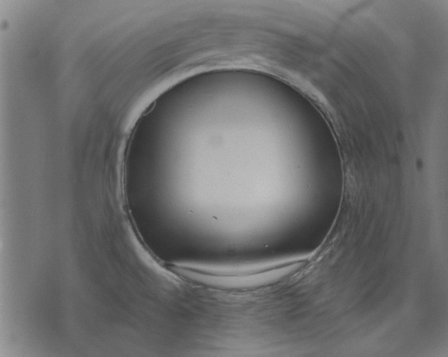 X0000071771528200607211519