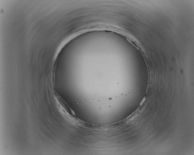 X0000071771530200607211519