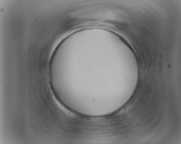 X0000071771531200607211519