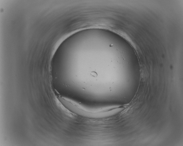 X0000071771532200607211519