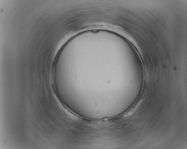 X0000071771533200607211519