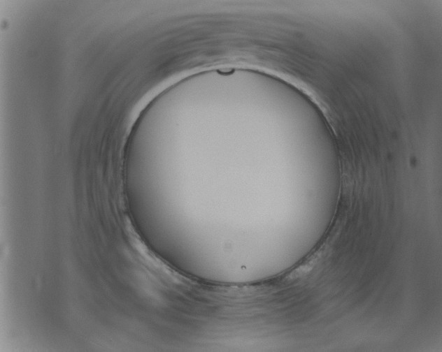 X0000071771534200607211519