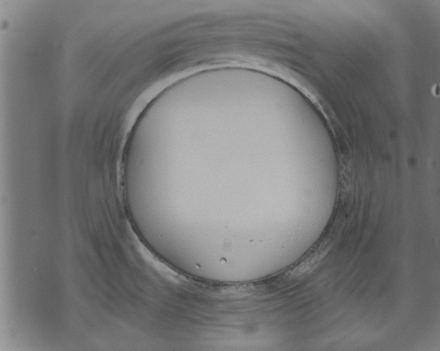 X0000071771535200607211519