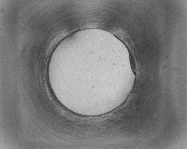 X0000071770001200607282225