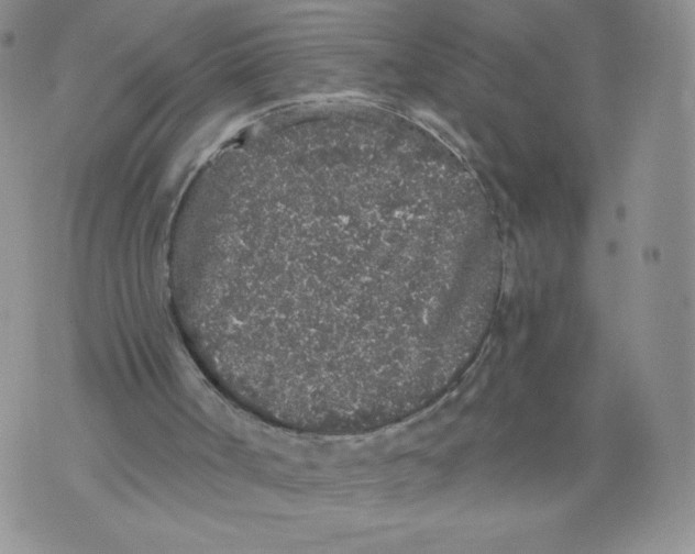 X0000071770002200607282225