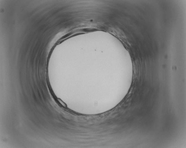 X0000071770003200607282225