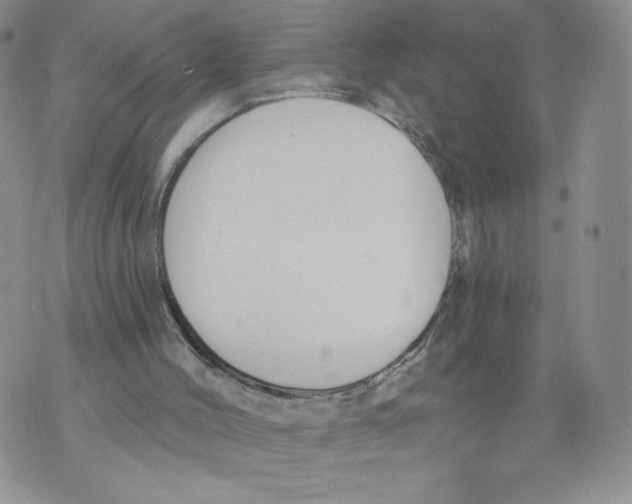 X0000071770004200607282225