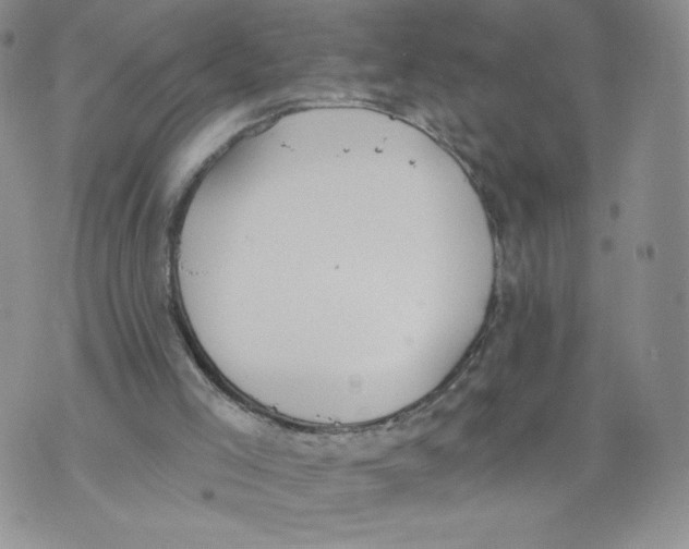 X0000071770005200607282225