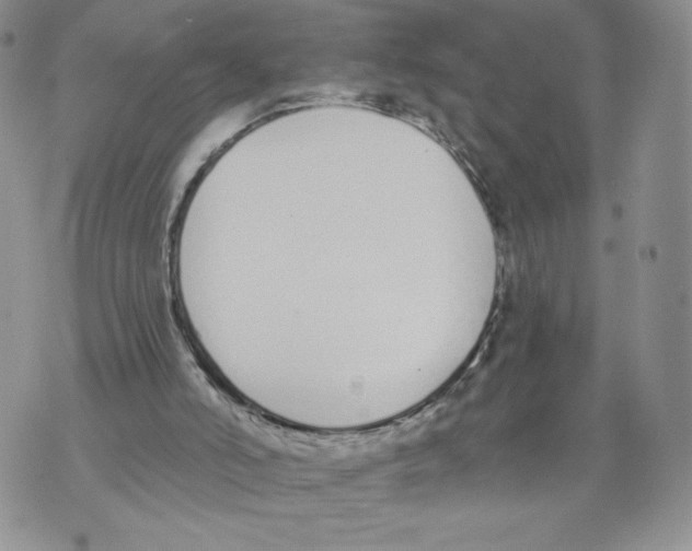 X0000071770006200607282225