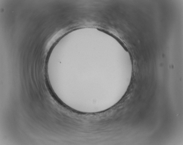 X0000071770007200607282224