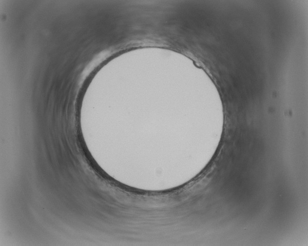 X0000071770008200607282224