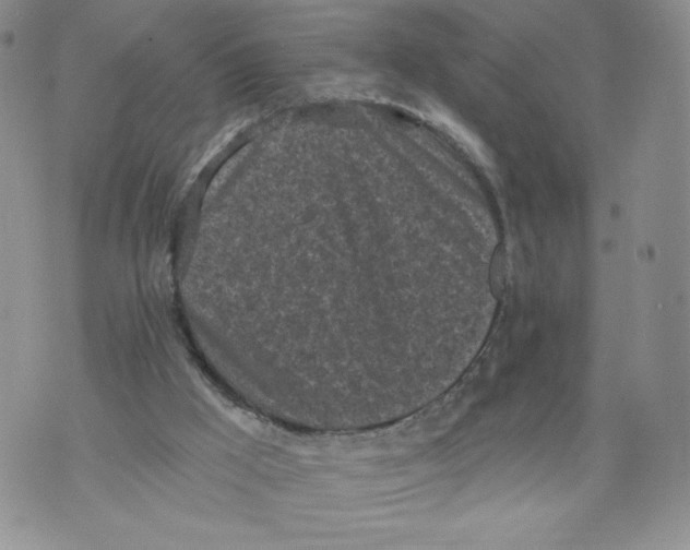 X0000071770009200607282224