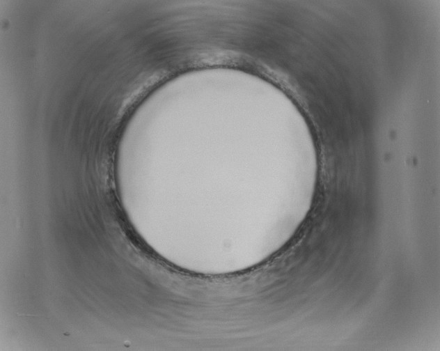 X0000071770010200607282224