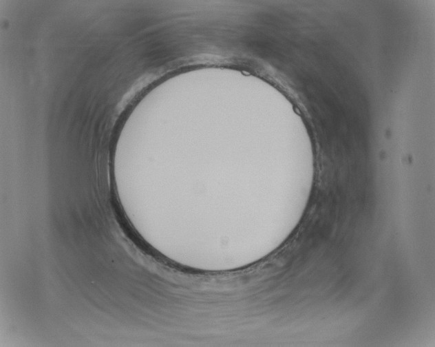 X0000071770011200607282224