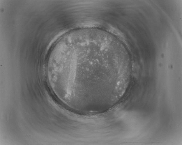 X0000071770012200607282224