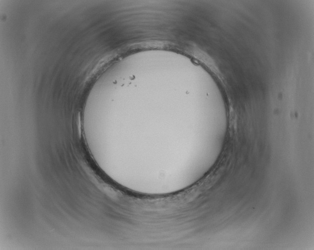 X0000071770013200607282224