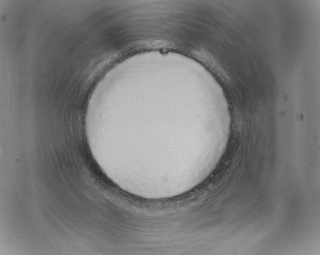 X0000071770014200607282224