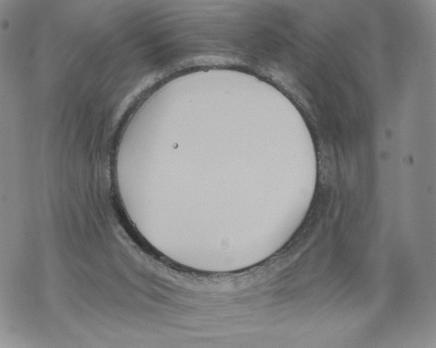 X0000071770015200607282224