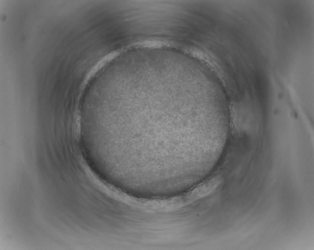 X0000071770016200607282224