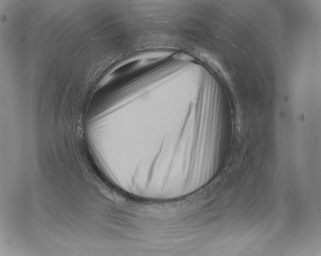 X0000071770017200607282224