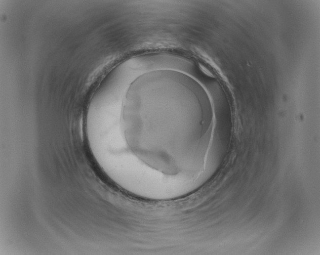 X0000071770019200607282224